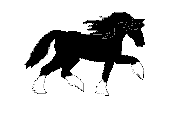 caballo105.gif