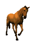 caballo11.gif