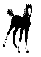 caballo125.gif