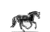 caballo131.gif