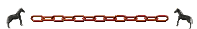 caballo132.gif