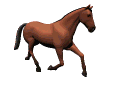 caballo134.gif