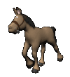 caballo14.gif