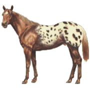 caballo140.gif
