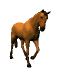 caballo141.gif