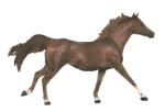 caballo142.gif