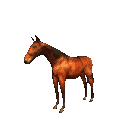 caballo149.gif