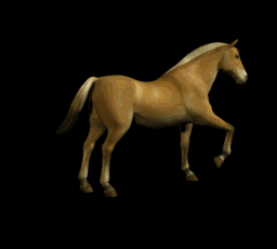 caballo178.gif