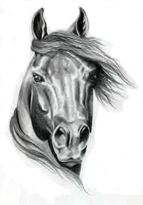 caballo184.gif