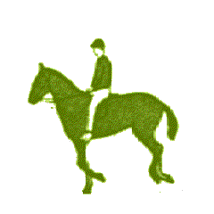 caballo192.gif