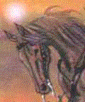 caballo193.gif