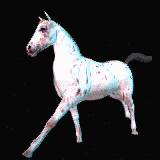 caballo200.gif