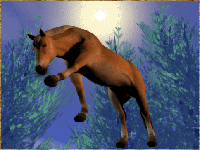 caballo201.gif