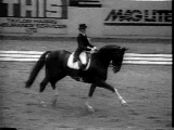 caballo207.gif