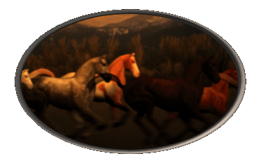 caballo208.gif