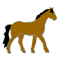 caballo47.gif