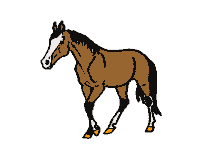 caballo49.gif