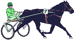 caballo99.gif