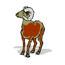 cabra13.gif