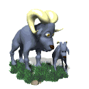 cabra17.gif