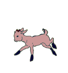 cabra22.gif
