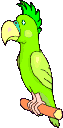 cacatua03.gif