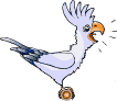cacatua06.gif