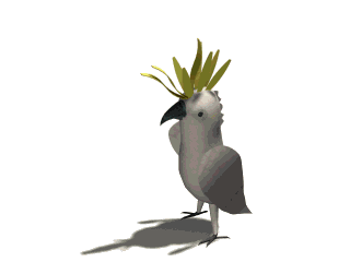 cacatua07.gif