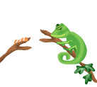 camaleon01.gif