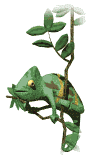 camaleon06.gif