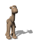 camello12.gif