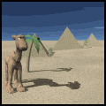 camello14.gif