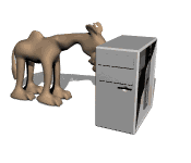camello19.gif