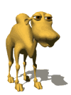 camello21.gif