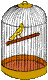 canario03.gif