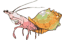cagrejo02.gif