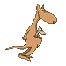 canguro08.gif