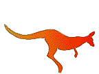 canguro13.gif