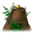 caracol11.gif