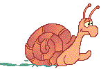 caracol12.gif