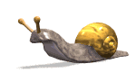 caracol13.gif