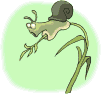 caracol16.gif