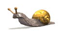 caracol28.gif