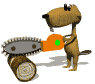 castor04.gif