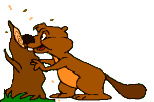 castor06.gif