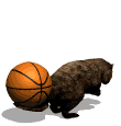 castor14.gif
