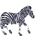 cebra08.gif