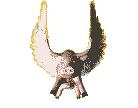 cerdos14.gif