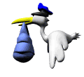 ciguena05.gif