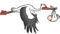ciguena08.gif